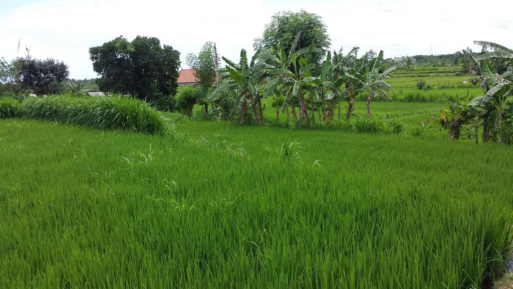 Puri Pondok Dawa Villa Kusamba Ngoại thất bức ảnh
